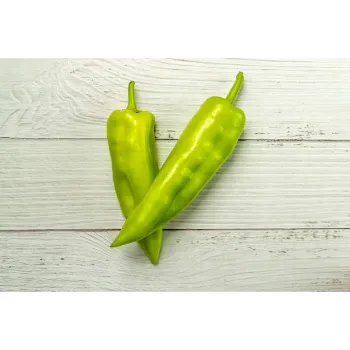 Organic  Green Chilli