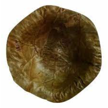 Leak Proof Green Leaf Bowls