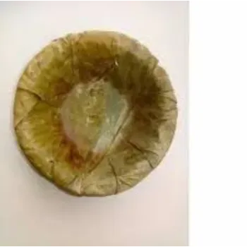 Rudrapriya Green Leaf Bowls