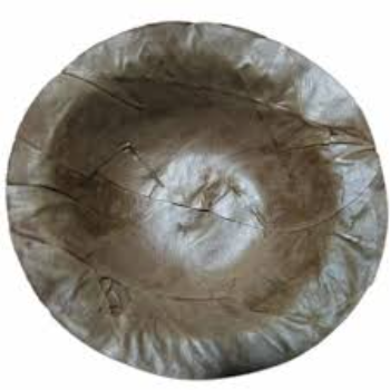 Biodegradable Green Leaf Bowls