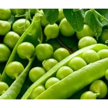 Fresh Green Peas
