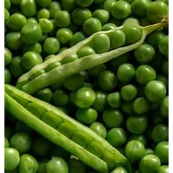Natural Green Peas