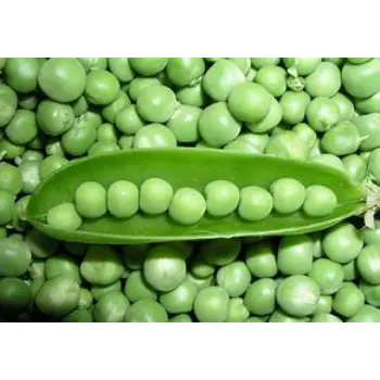 Green Peas