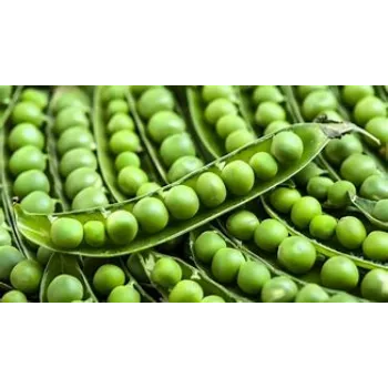 Green Peas