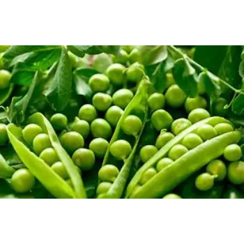 Green Peas
