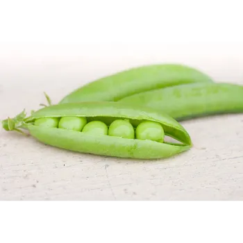 Organic  Green Peas