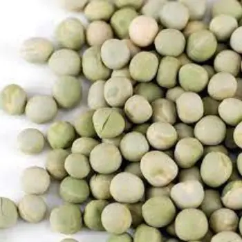 Common Green Peas