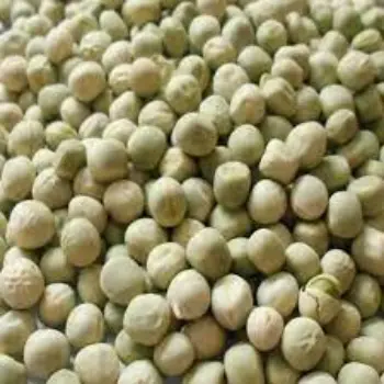 Common Green Peas