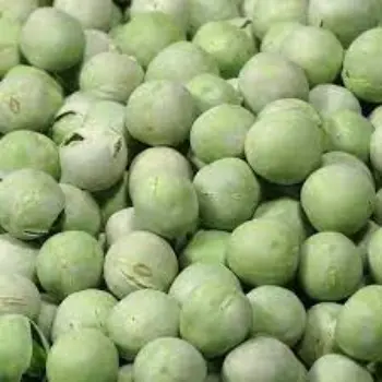 Common Green Peas