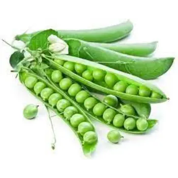 Common Green Peas