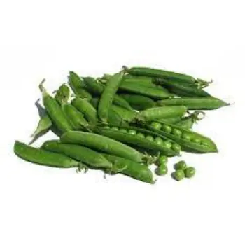 Common Green Peas