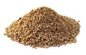 Green Millet