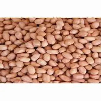 Groundnut Seeds