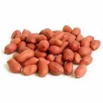 Groundnut Seeds
