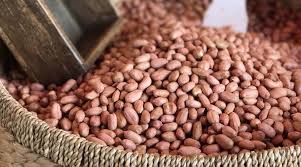 Natural Groundnut Seeds