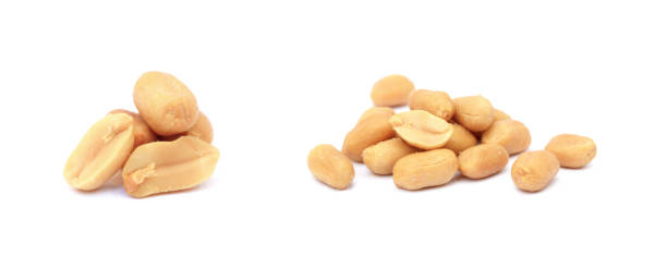 Organic  Groundnut Seeds