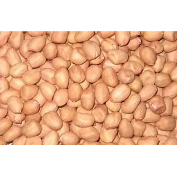 Groundnut Seeds