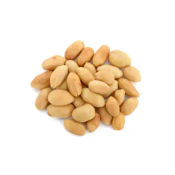 Organic Groundnut Seeds
