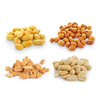  Fresh Groundnut Seeds