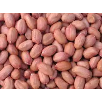 Natural Groundnut Seeds