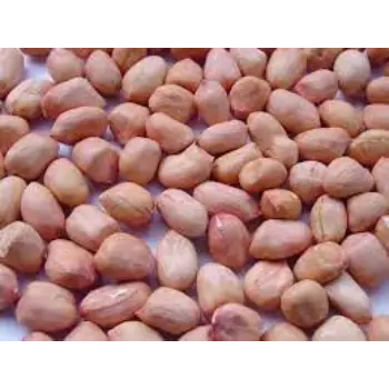Common Groundnuts Seeds