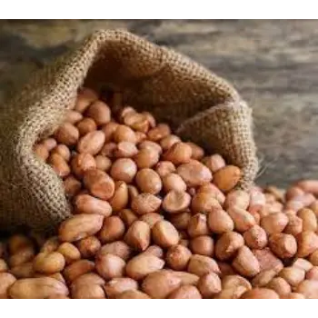 Natural Groundnut Seeds