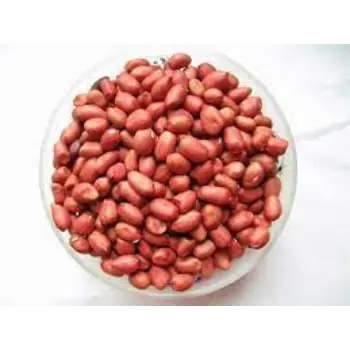 Natural Groundnut Seeds