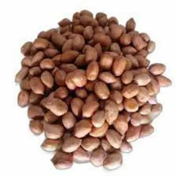 Common Groundnut Seeds