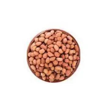 Organic Groundnut Seeds