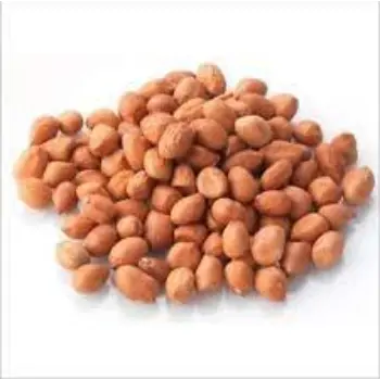 Natural Groundnut Seeds