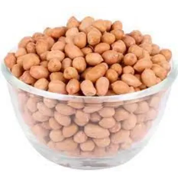 Common Groundnut Seeds