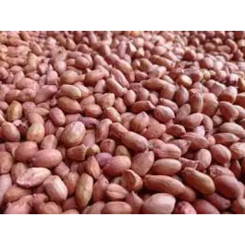 Organic Groundnut Seeds
