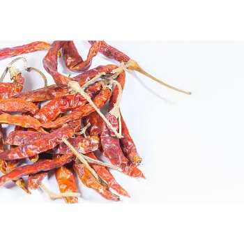 Common Guntur Dry Red Chilli