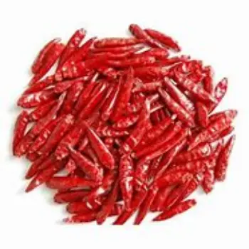 Guntur Dry Red Chilli