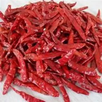 common Guntur Dry Red Chilli
