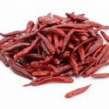 Guntur Dry Red Chilli