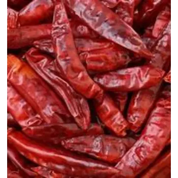 Guntur Dry Red Chilli