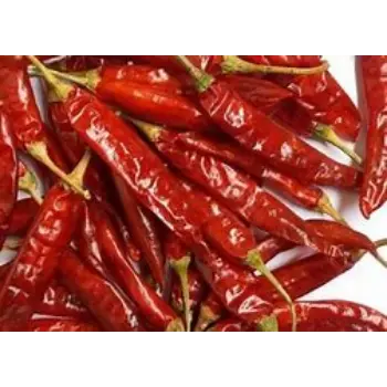 Common Guntur Dry Red Chilli