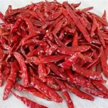 Guntur Dry Red Chilli
