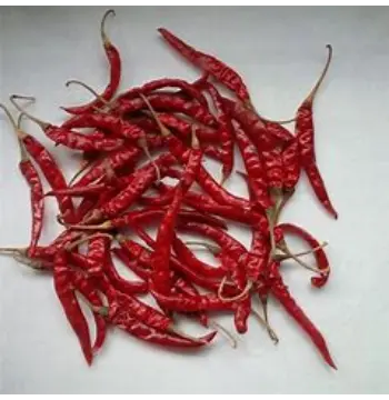 Fresh Guntur Dry Red Chilli