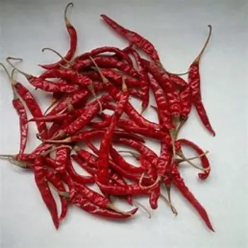 Guntur Dry Red Chilli