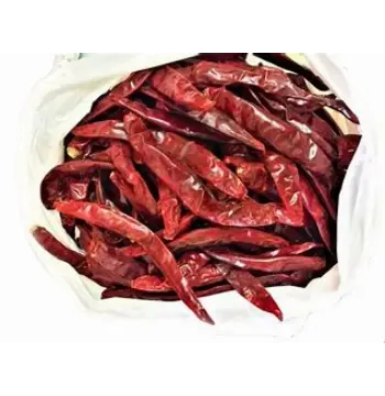Fresh Guntur Dry Red Chilli
