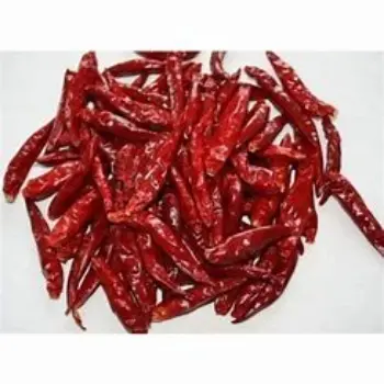 Guntur Dry Red Chilli