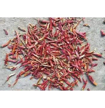 Natural Guntur Dry Red Chilli