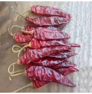 Fresh Guntur Dry Red Chilli