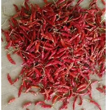 Natural Guntur Dry Red Chilli