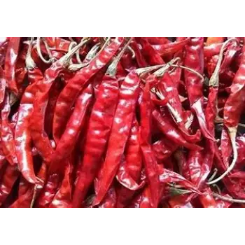 Guntur Dry Red Chilli