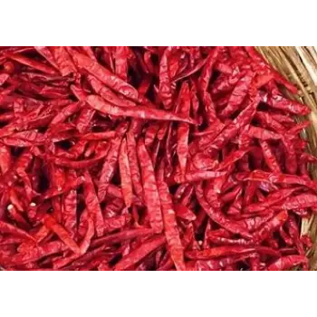 Fresh Guntur Dry Red Chilli