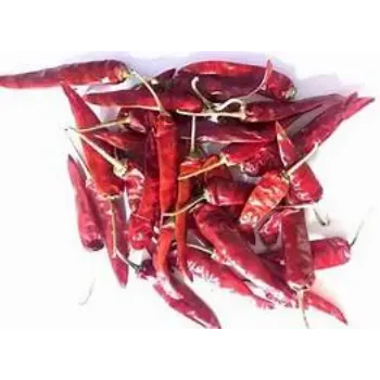 Guntur Dry Red Chilli