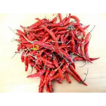 Guntur Dry Red Chilli